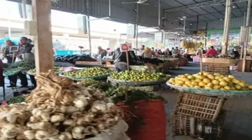 ارتفاع أسعار الطماطم وتأثيره المباشر على سوق الخضروات والفاكهة في العبور اليوم 26-10-2025